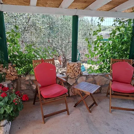 Hébergement de vacances House Murtelica Tkon